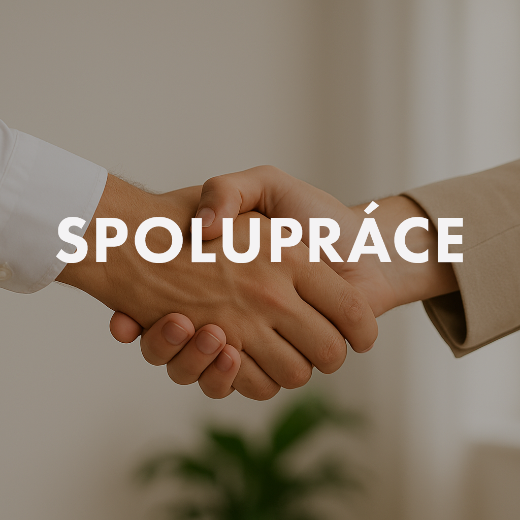 spoluprace-ikona